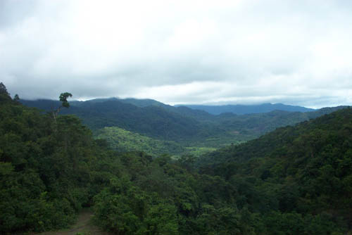 7_view1